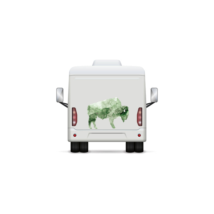 Bison